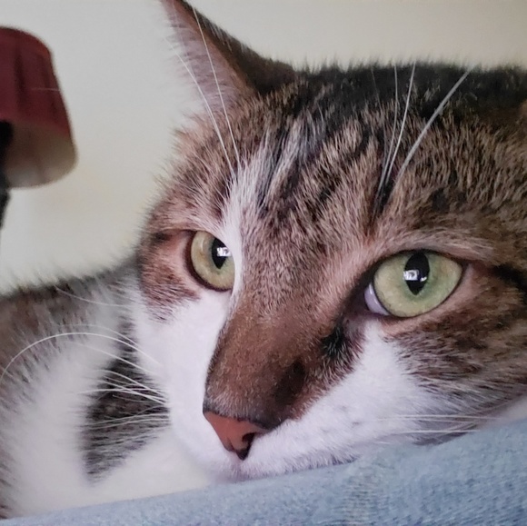 Meet your Posher, Catherine - Picture 5 of 6